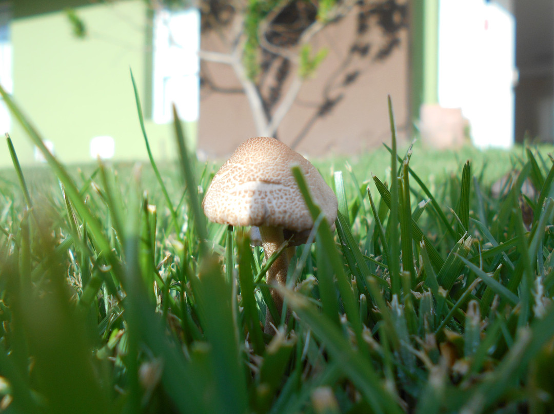 Alto Miramar Resort & Spa主图