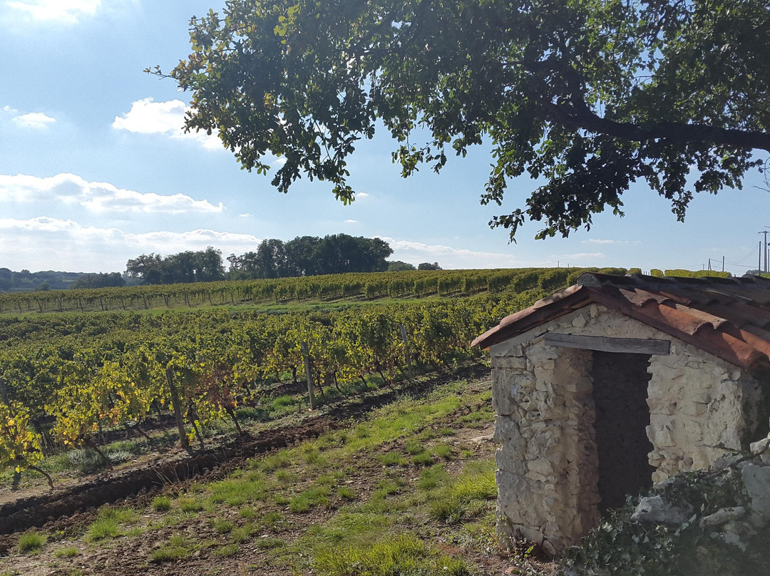 Office de Tourisme du Grand Armagnac -景点图片