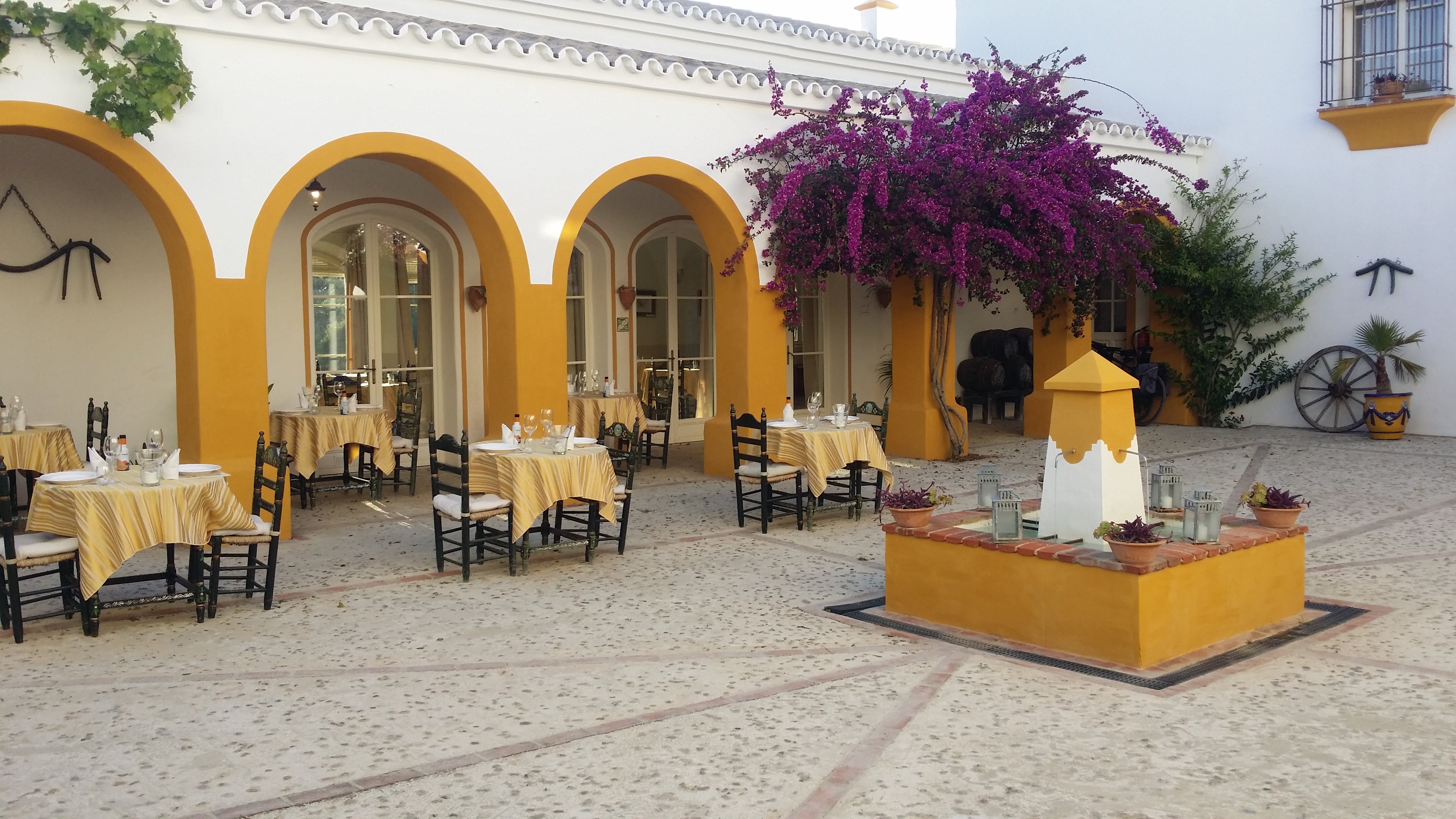 Hacienda la Morena-餐饮