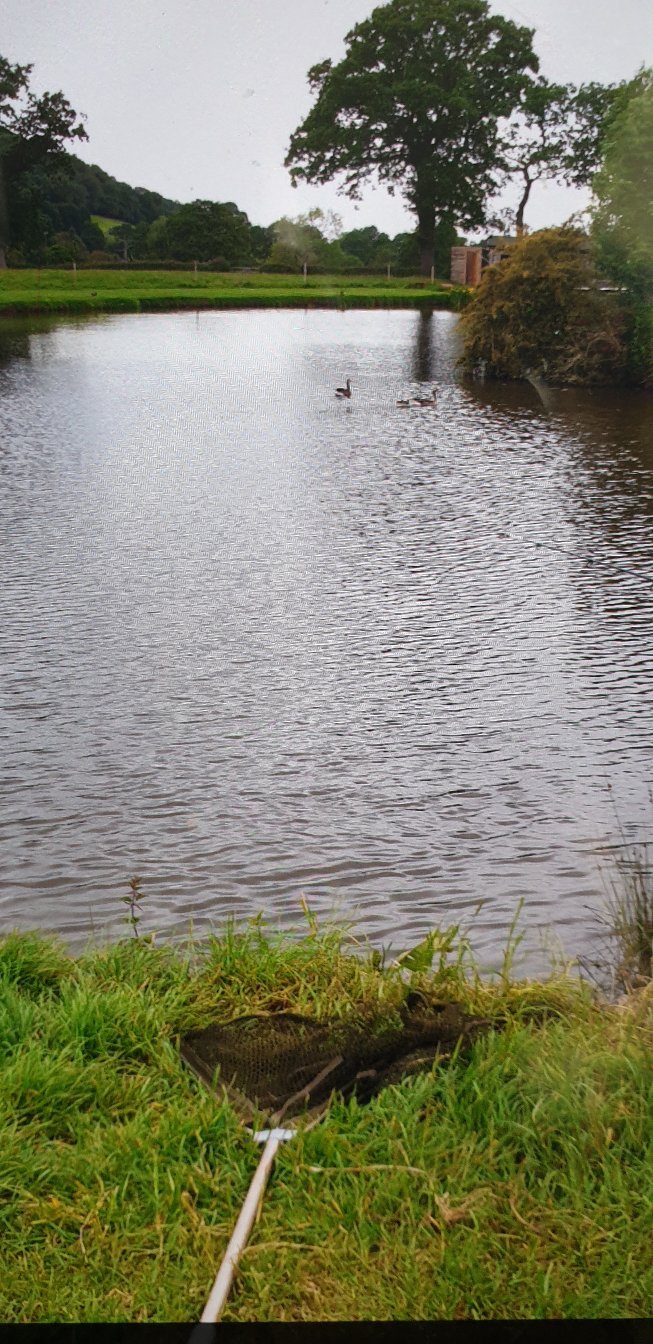Goose Green Farm-官方