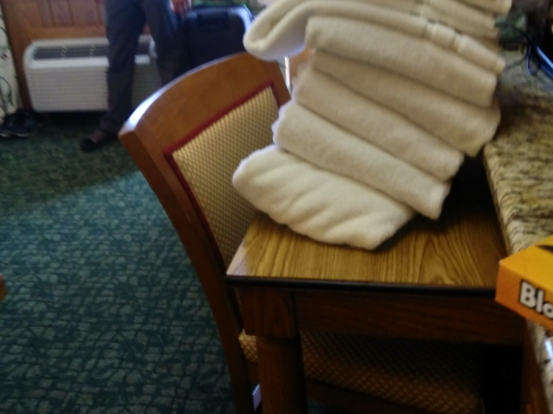 Oglebay Park Resort主图