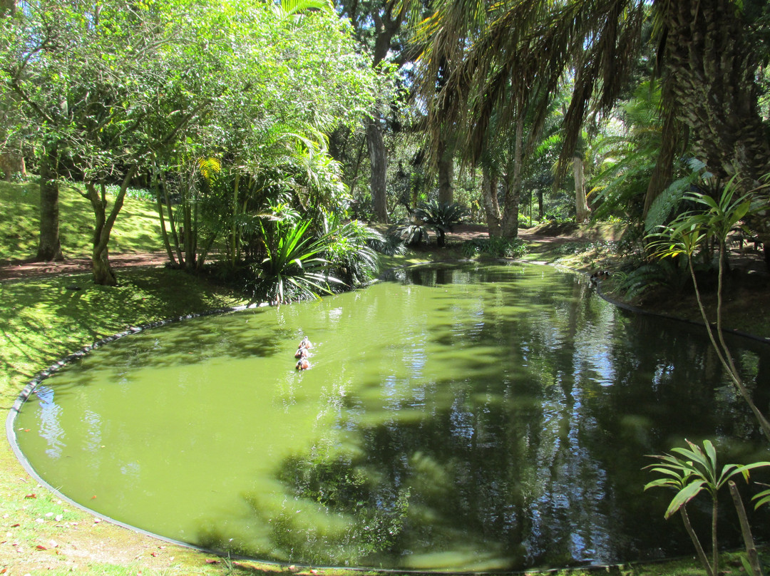 Jardim Botânico António Borges景点图片