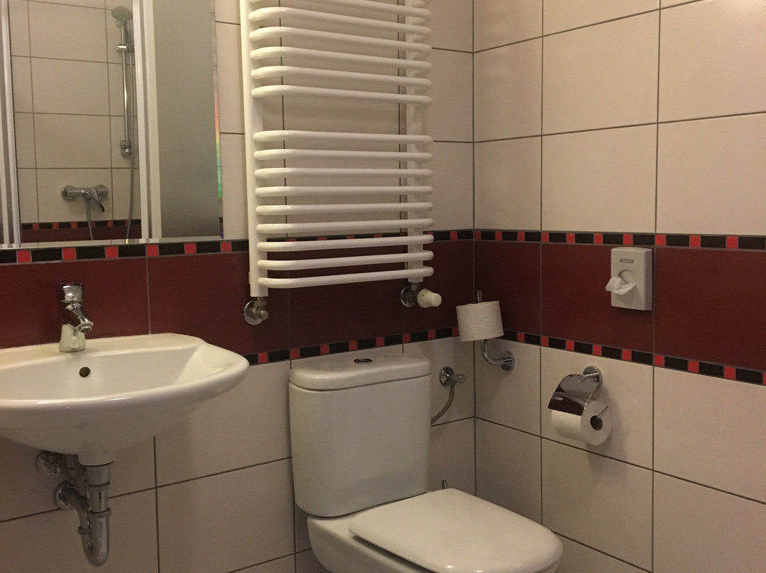 Hotel Borowiecki主图