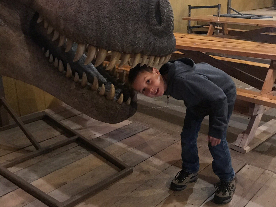 Dinosaur Museum景点图片