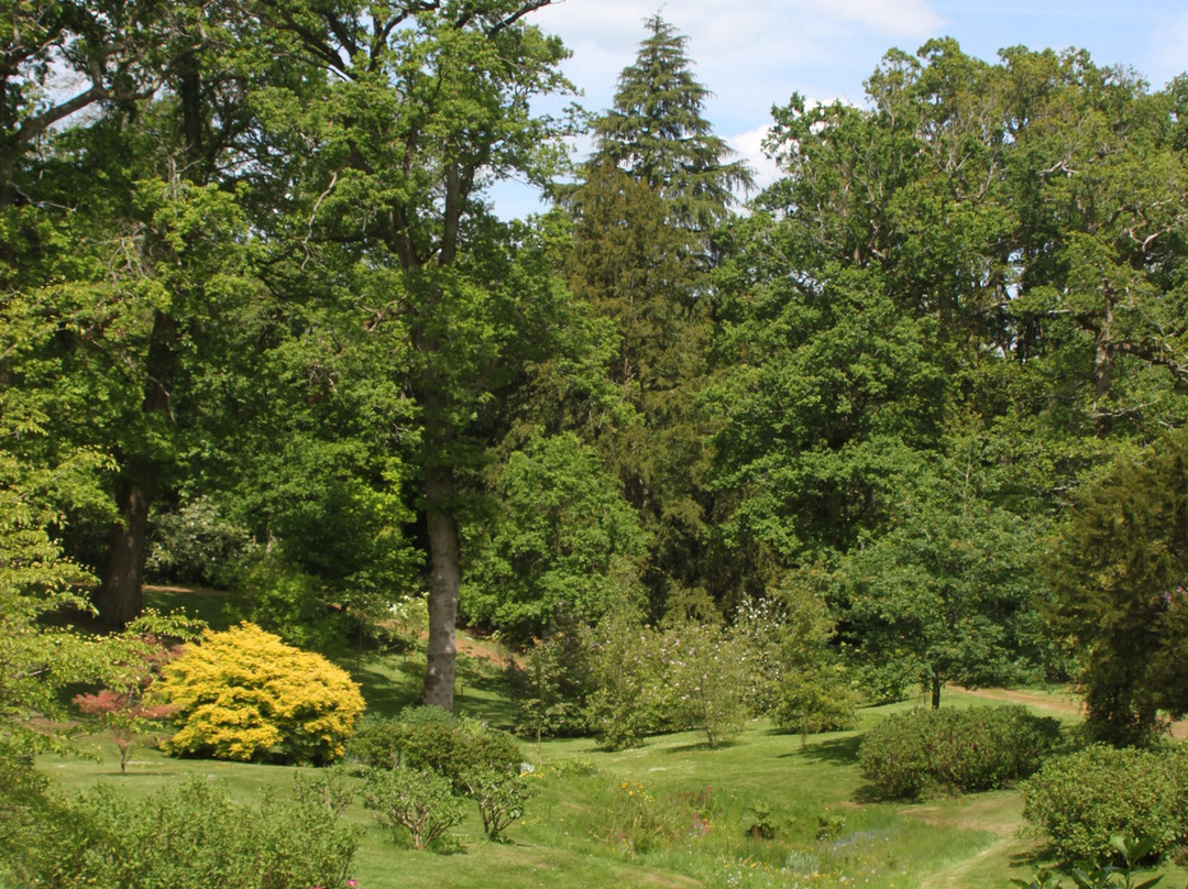 Bowood Woodland Garden-Calne必去景点