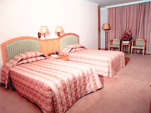 南国大酒店-客卧