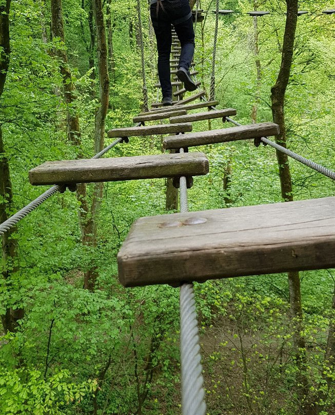 Go Ape Buxton-巴克斯顿必去景点