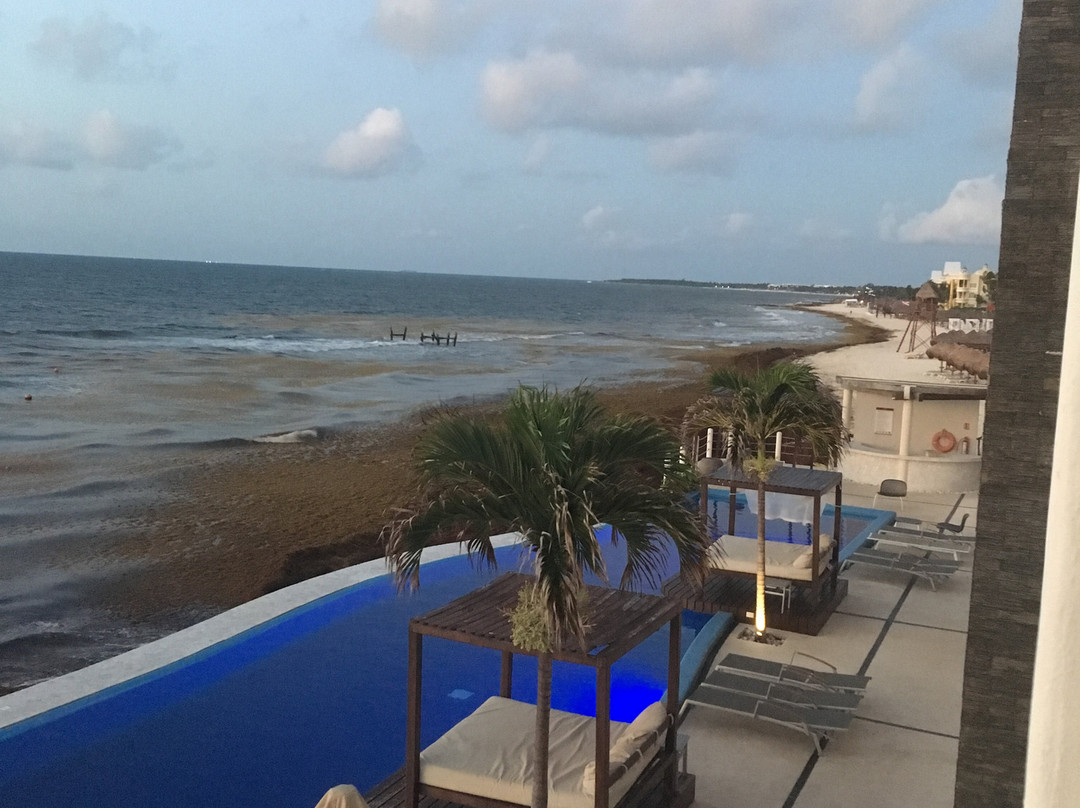 Senses Riviera Maya by Artisan主图