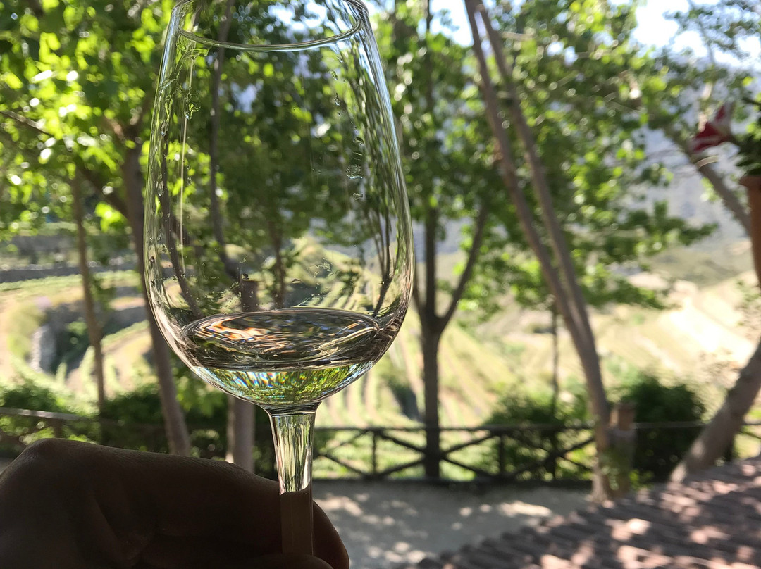 Tsiakkas Winery-Pelendri必去景点