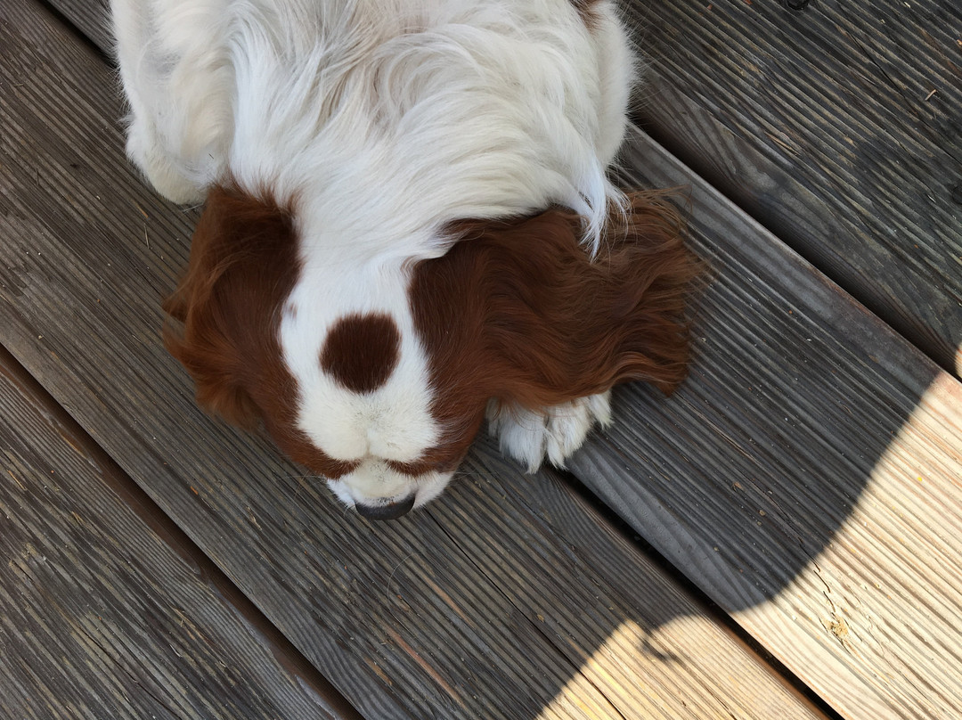 Pizzolungo-卡碧岛必去景点