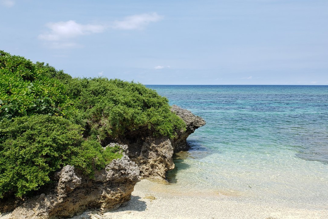 Coral Beach景点图片