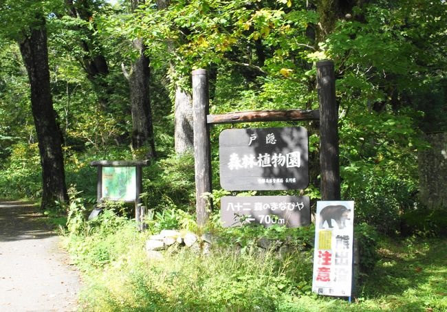 Togakushi Forest Botanical Garden-长野县必去景点