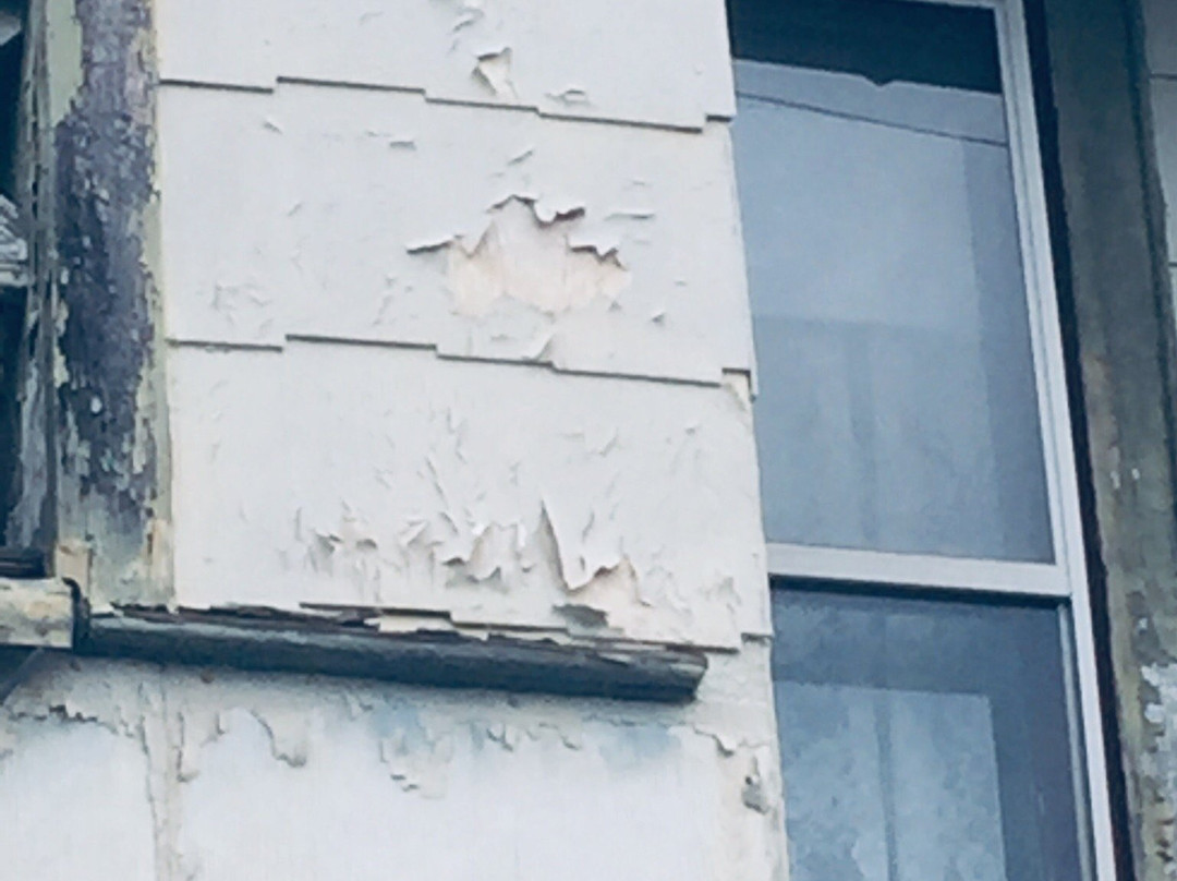 Rocking Horse Inn主图