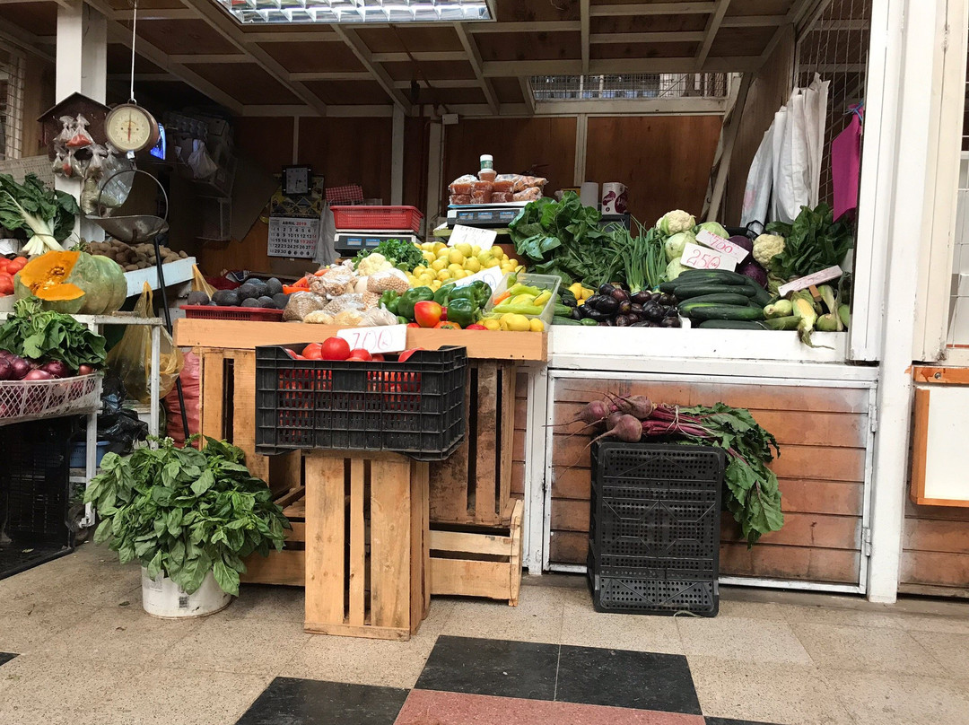 Feria Modelo de Ovalle-Ovalle必去景点