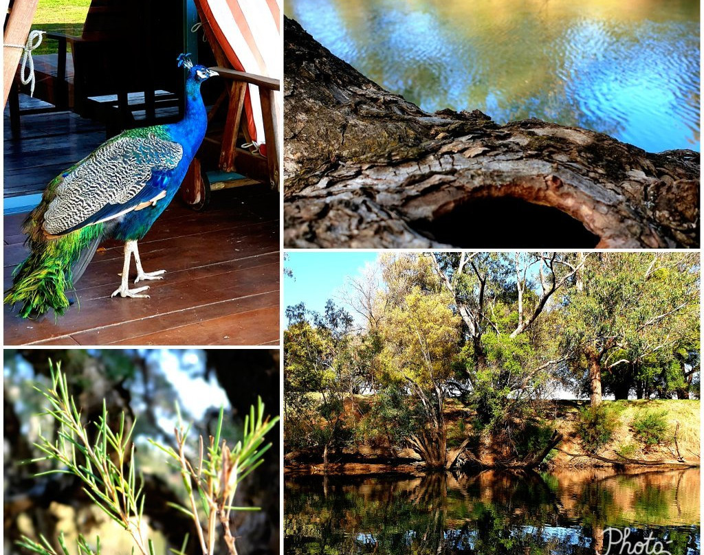 瓦济河精品食宿酒店主图
