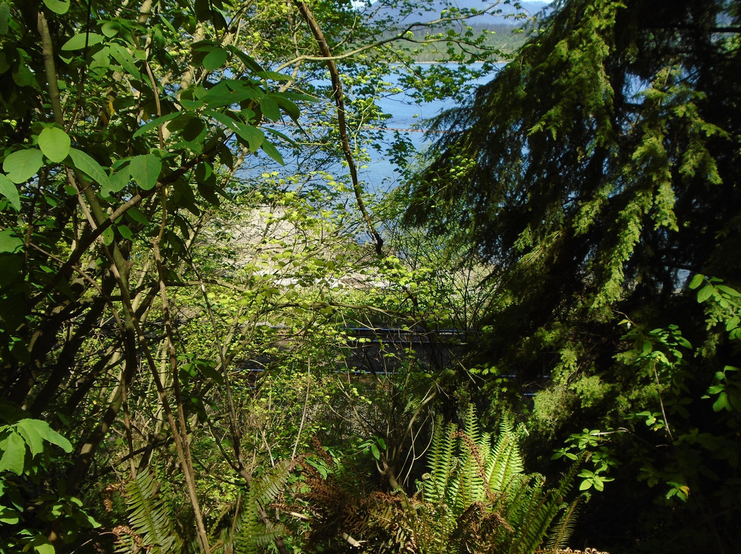 Confederation Park-本那比必去景点