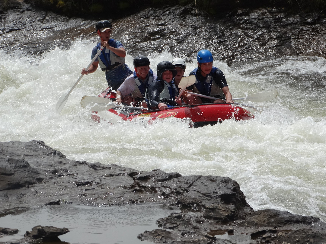 Be Wild Adventures-克拉伦斯必去景点