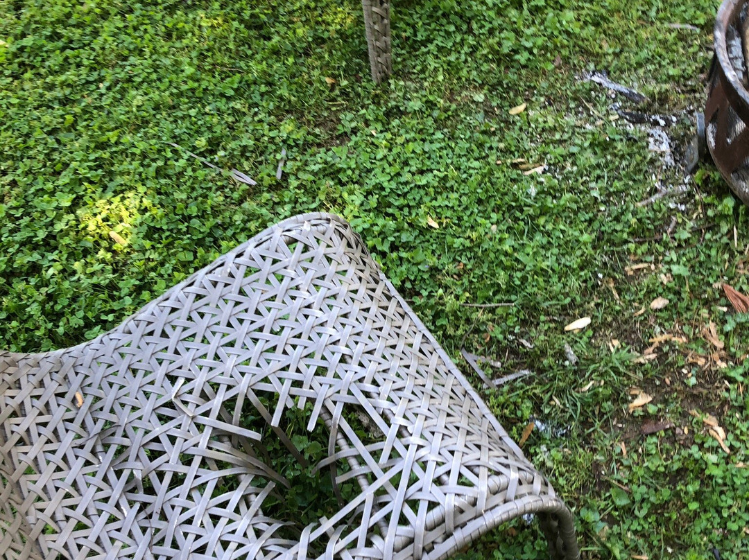 The Belle Of Hot Springs主图