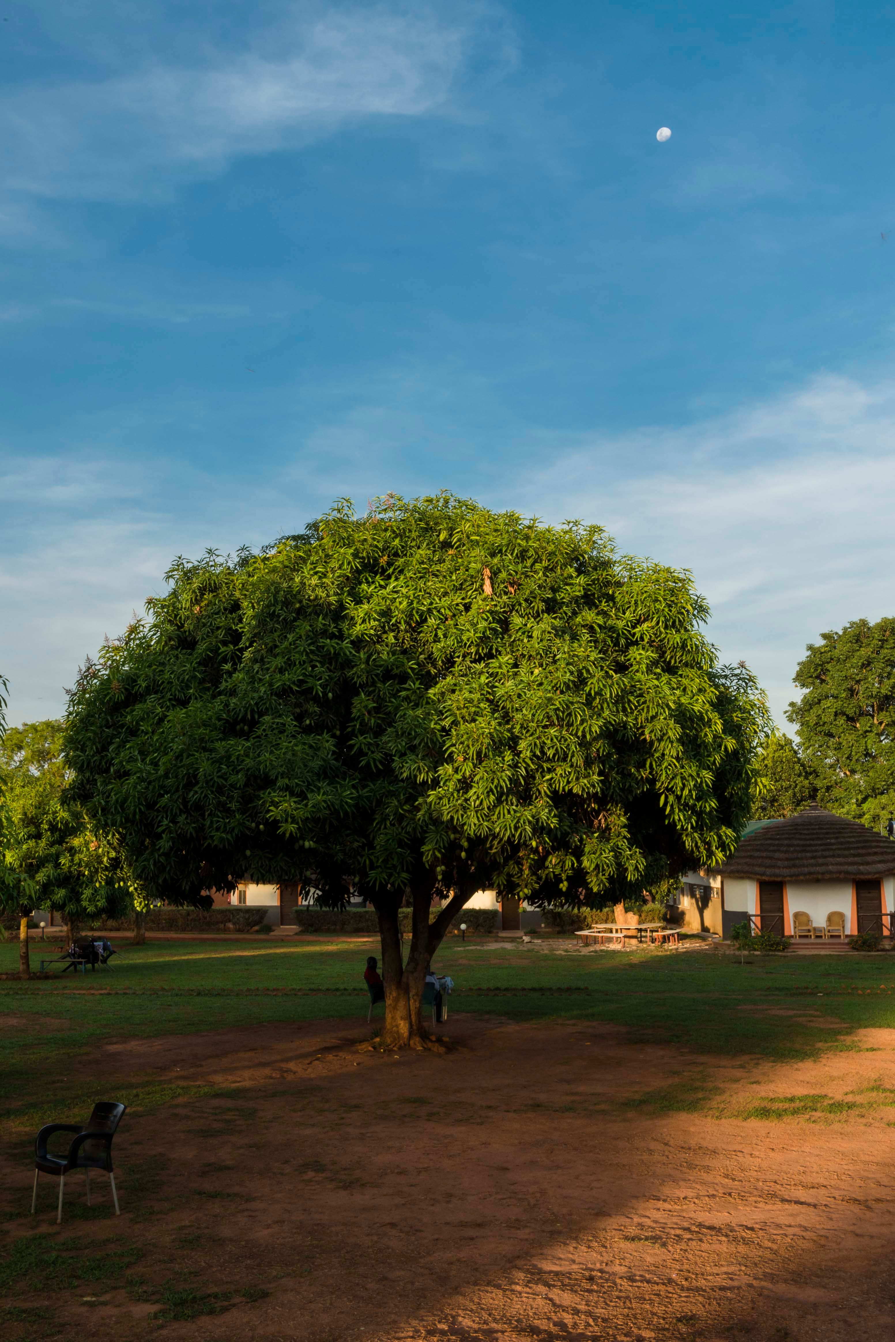 Palm Garden Gulu - Restaurant and Guest House-浴室