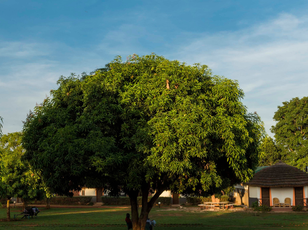 Palm Garden Gulu - Restaurant and Guest House主图