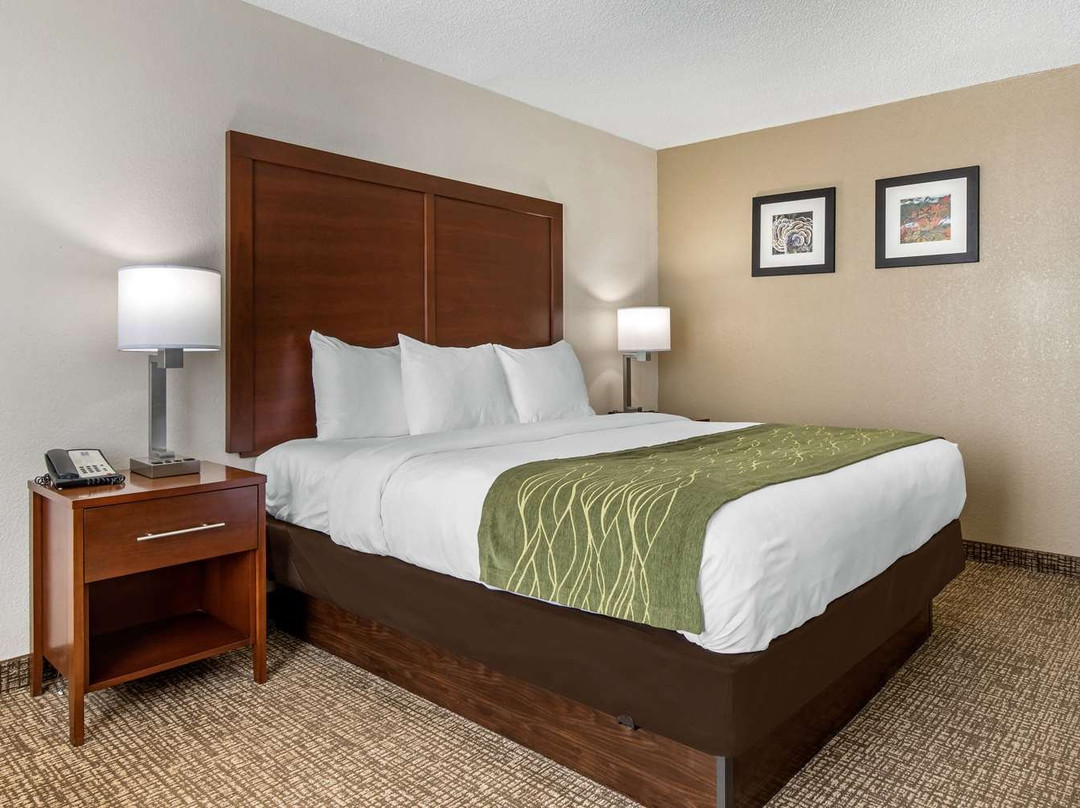 谢尔比希尔顿恒庭酒店主图