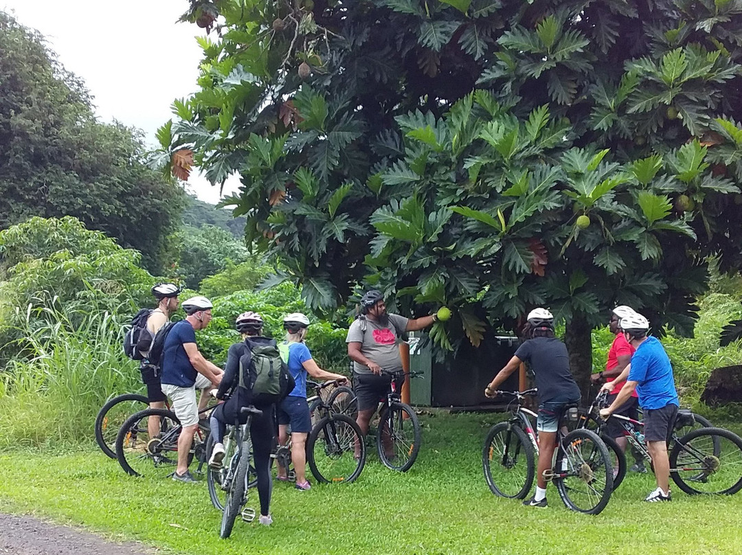 Storytellers Eco Cycle Tours-拉罗汤加必去景点
