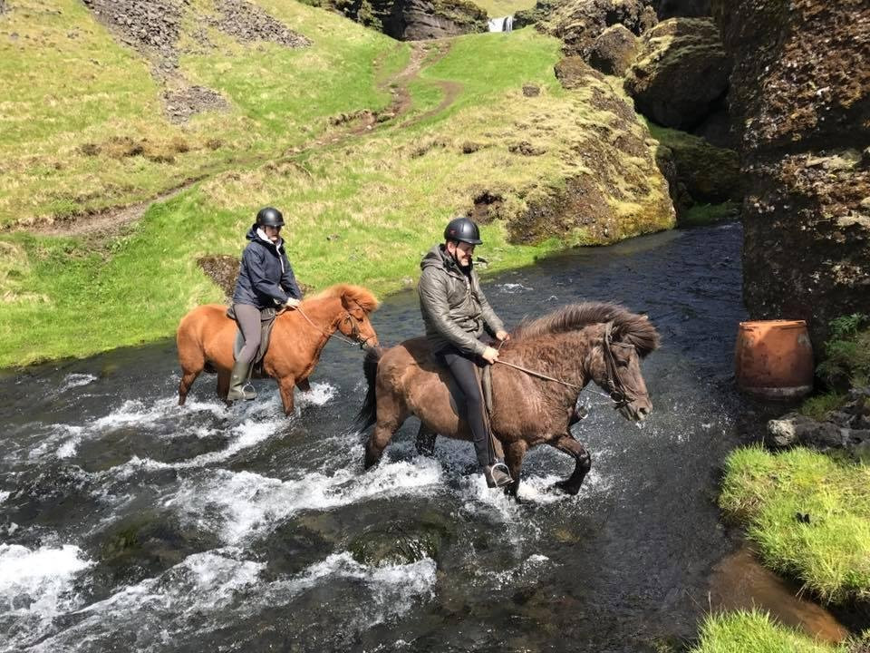 Horse rental Ytri-Skógar景点图片