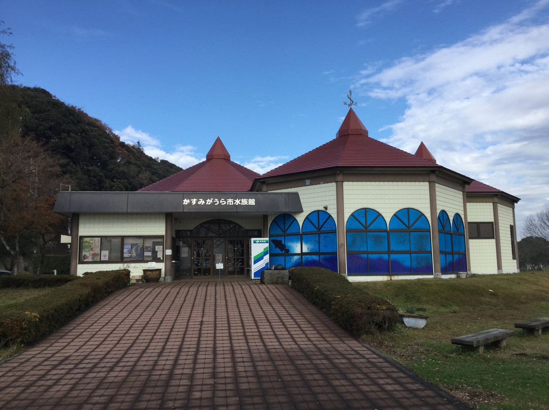 Kasumigaura Aquarium景点图片