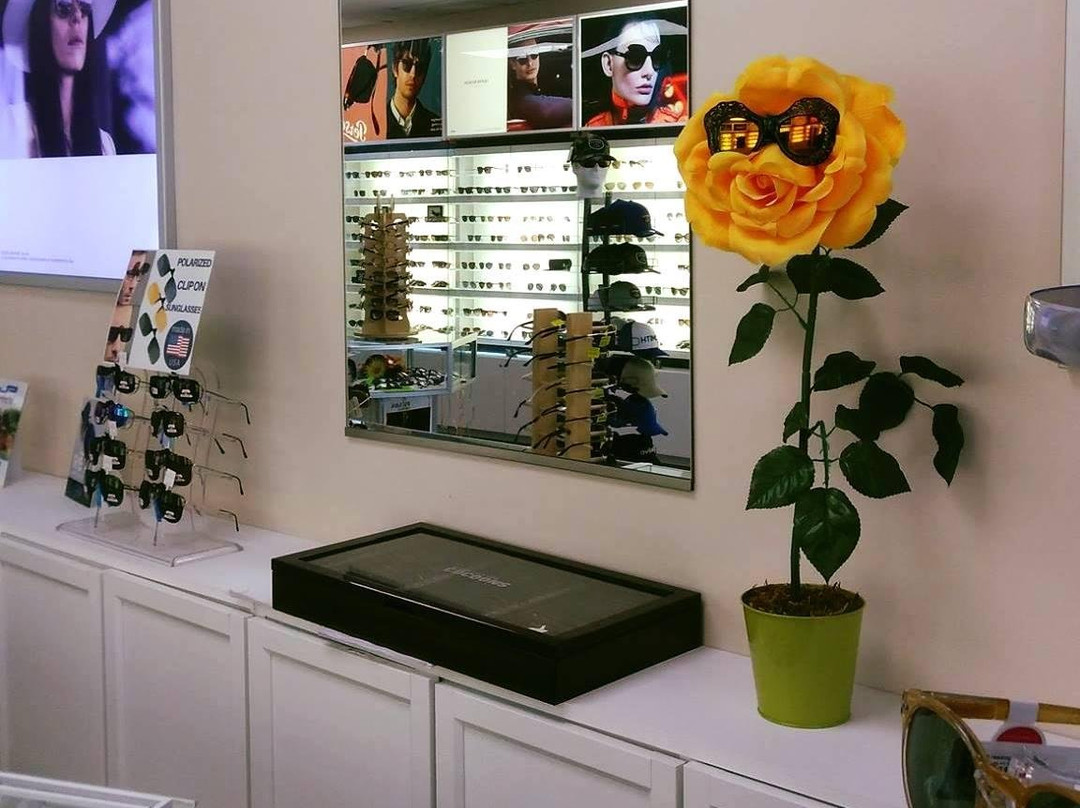 American Sunglass景点图片