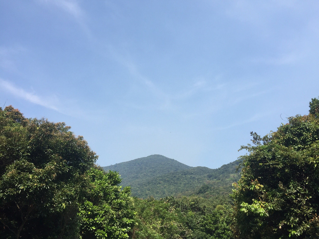 Ban Co Peak-岘港必去景点