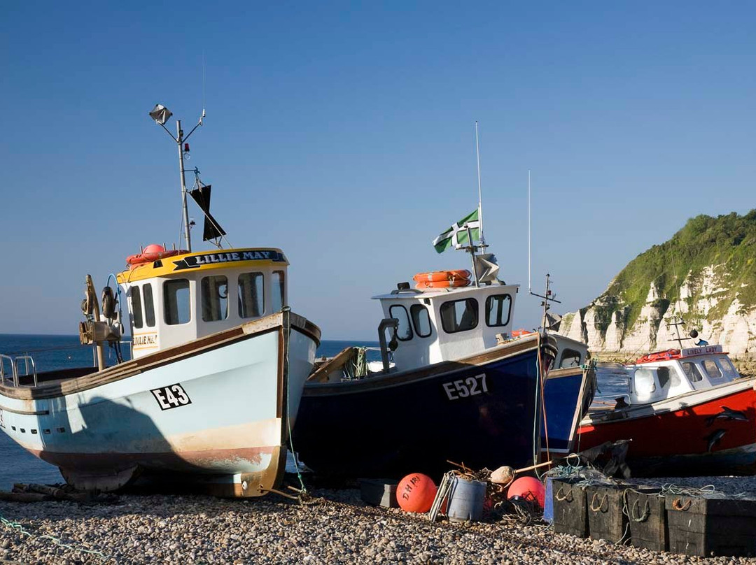 Belmont House Beer主图