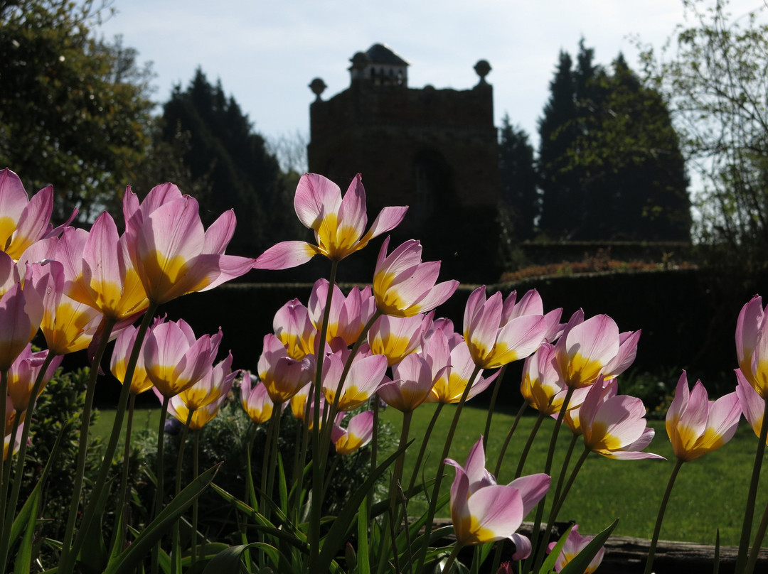 Stone House Cottage Gardens-Kidderminster必去景点