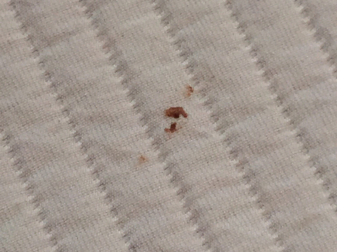 斯考特而塞米纳里奥酒店主图