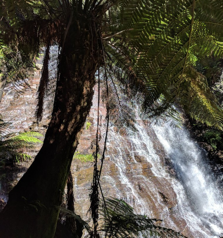 Westmorland Falls-茉莉溪必去景点