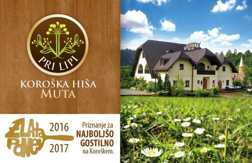 Slovenj Gradec旅游攻略图片