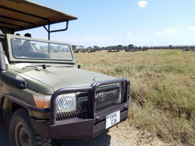 JJM Tours and Safari-Marangu必去景点