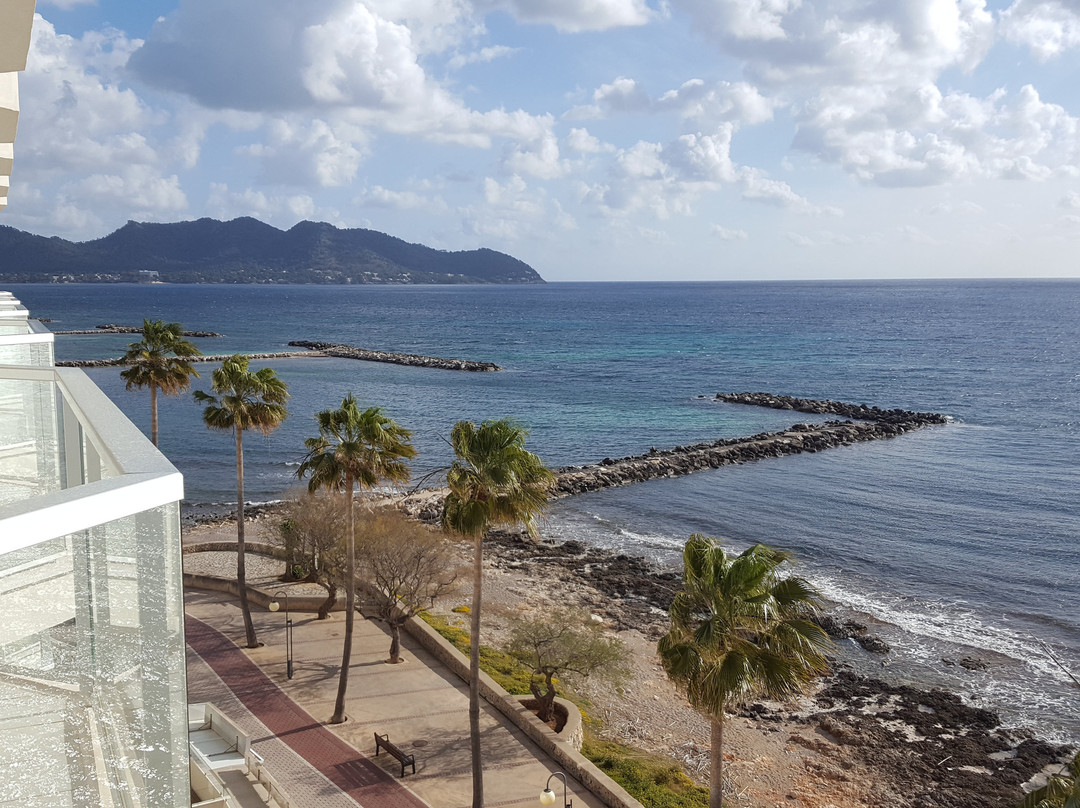 Protur Alicia Hotel主图