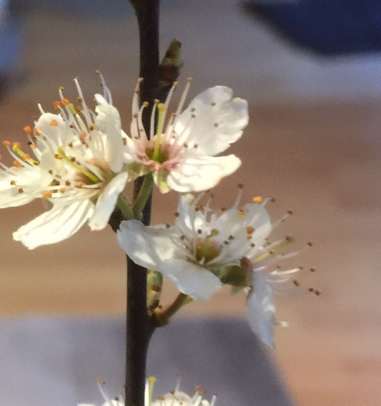 Moore Nature Reserve-沃灵顿必去景点