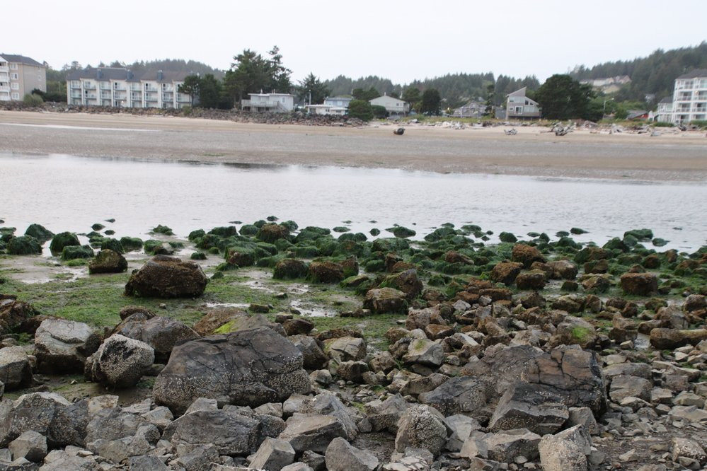 Siletz Bay Park-林肯城必去景点