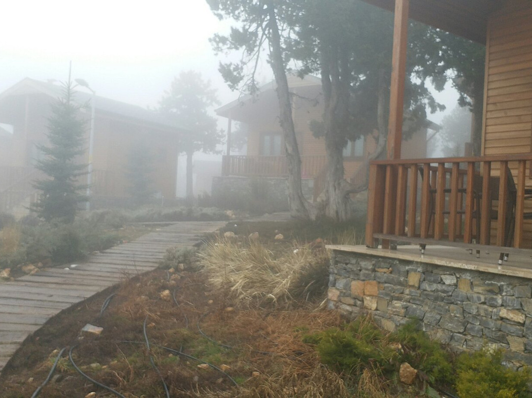 Bagbasi Yaylasi Bungalov Evleri主图