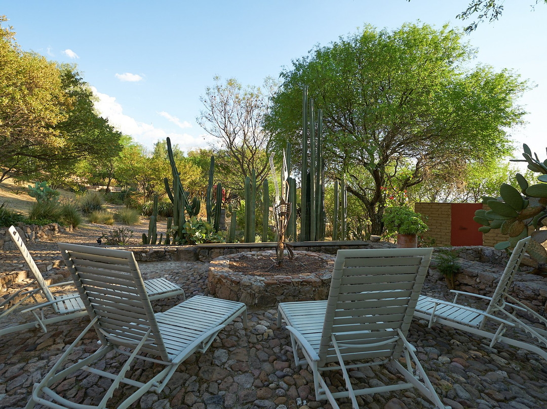 Sagrada Holistic Ranch主图