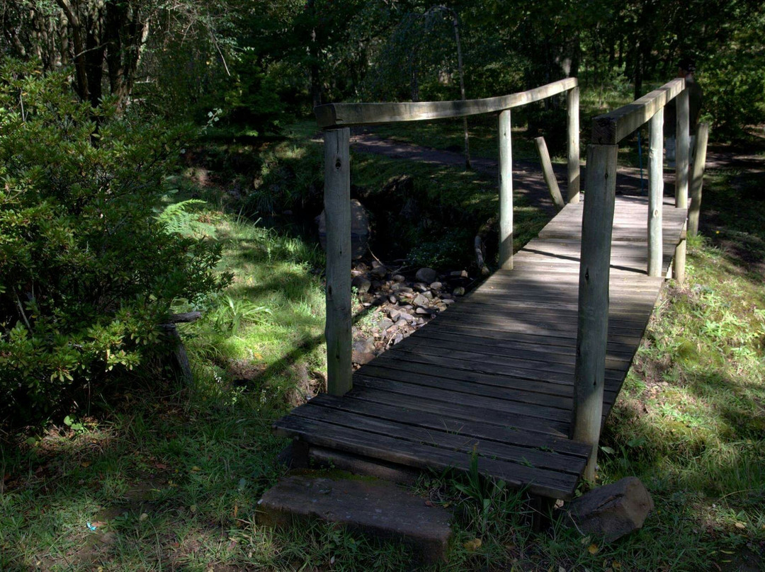 Hogsback Arboretum-Hogsback必去景点