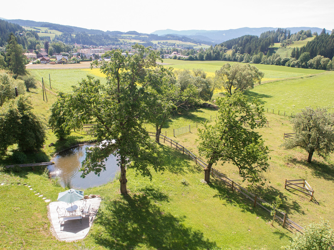 Hotel Landsitz Pichlschloss主图