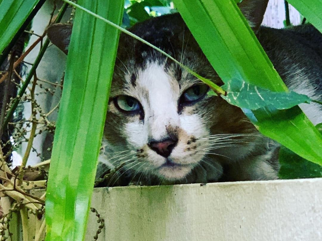 普吉岛卡塔家庭式酒店主图