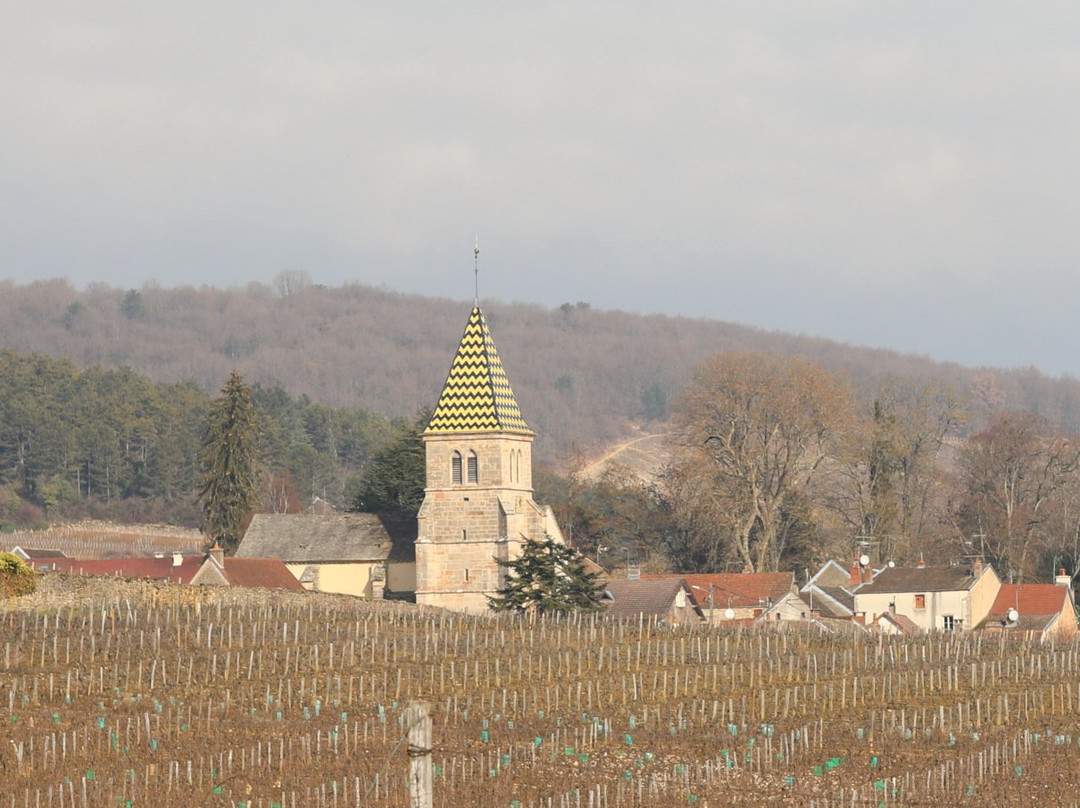 Eglise de Saint-Martin de Fixin景点图片