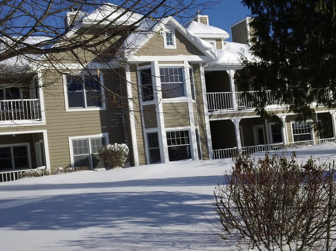 Newport Resort主图