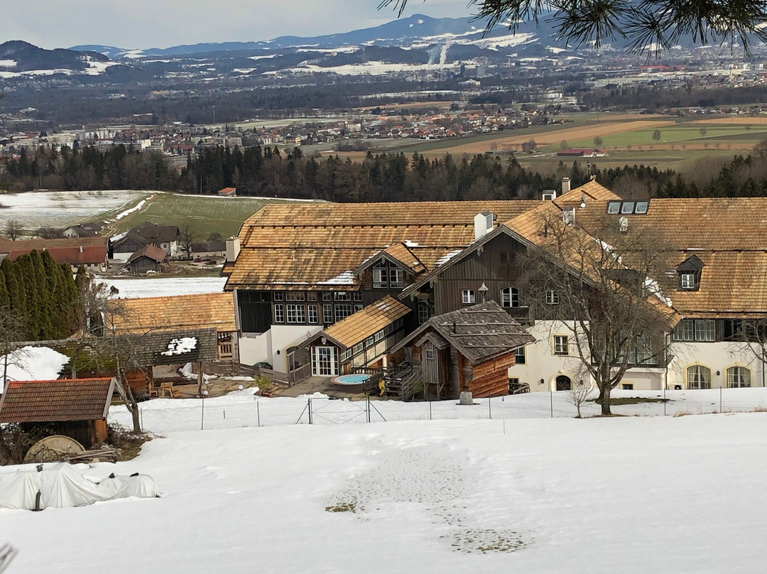 Reiter Alm Spa & Wellness主图