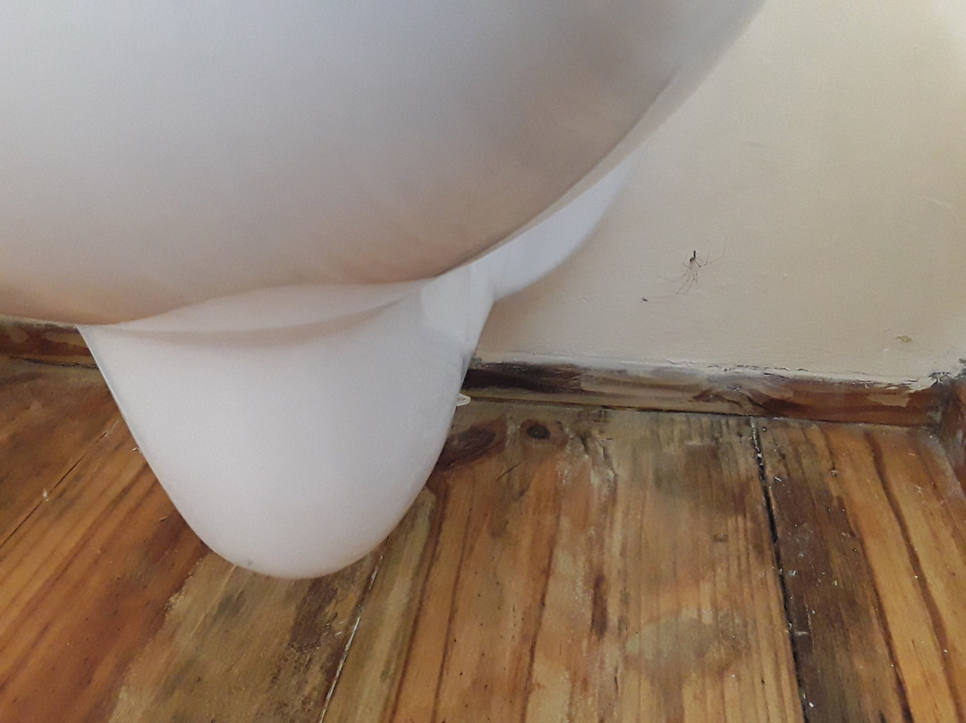 Marianne Wine Estate Guesthouse主图