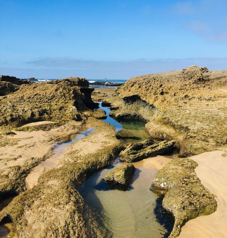 Gerickes Point-Sedgefield必去景点