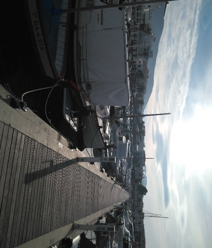 Port Beach景点图片